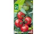 Pomodoro Matina Semi Biologici - Circa 0,2 Gr | VT_218