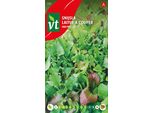 Semi Di Lattuga Lettuce Maxi Mix - Circa 4 Gr | VT_555