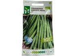 Semi Di Fagioli Speedy - 25 Gr Circa | VT_206
