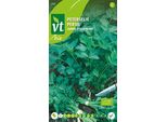 Prezzemolo Comune Hilmar Semi Biologici - Circa 2 Gr | VT_209