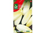 Semi Di Indivia Di Bruxelles - Circa 4 Gr | VT_639