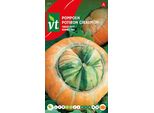 Semi Di Zucca Cappello Turco - Circa 2 Gr | VT_575
