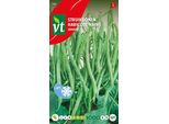 Semi Di Fagioli Sansoucy - 25 Gr Circa | VT_306