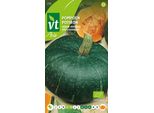 Zucca Verde Di Hokkaido Semi Biologici - Circa 2,5 Gr | VT_230