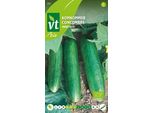 Cetriolo Marketmore Semi Biologici - Circa 1 Gr | VT_207