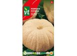 Semi Di Zucca Gialli Giganti - Circa 3 Gr | VT_586