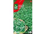 Semi Verdi Di Portulaca - Circa 1,5 Gr | VT_583