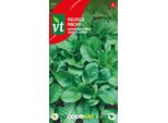 Lattuga D'agnello Verde Cambrai Semi - Circa 3 Gr | VT_636