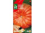Zucca Rossa Di Etampes Semi - Circa 2 Gr | VT_582