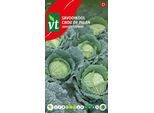 Cavolo Verza Capriccio F1 Semi Ibridi - Circa 0,3 Gr | VT_902