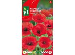 Semi Di Papavero Rosso - Circa 0,75 Gr | VT_821