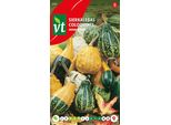 Semi Di Zucca Orientale Dell'estate Indiana - Circa 2 Gr | VT_856