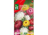 Semi Di Fragola Tom Thumb - Circa 0,75 Gr | VT_865