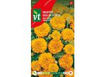 Semi Di Tagetes Lattuga Arancione - Circa 1 Gr | VT_869