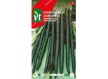 Salsefrica Nera Semi Giganti Migliorati - Circa 5 Gr | VT_603