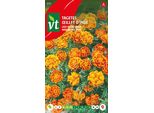 Semi Di Tagetes Basso Arancio-Marrone - Circa 1 Gr | VT_870