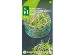 Semi Per La Germinazione Del Ravanello Rosa - Circa 16 Gr | VT_252