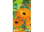 Semi Di Calendula Arancione - Circa 2 Gr | VT_255