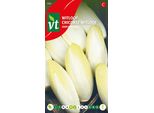 Cicoria Zoom F1 Semi Ibridi - Circa 4 Gr | VT_909