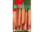 Carote Flayaway F1 Semi Ibridi - Circa 2 Gr | VT_970