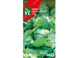 Semi Di Lattuga Iceberg Calmar - Circa 1 Gr | VT_927