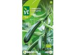 Semi Di Zucchina Rampicante - Circa 1 Gr | VT_257
