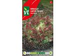 Semi Di Lattuga Riccia Lollo Rossa - Circa 2 Gr | VT_930