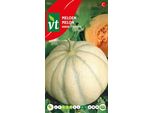 Melone Rubens F1 Semi Ibridi - Circa 0,3 Gr | VT_923
