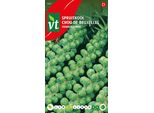 Cavoletti Di Bruxelles Steadia F1 Semi Ibridi - Circa 0,3 Gr | VT_962