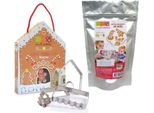 Set Per Casetta Di Panpepato - Formine Per Biscotti E Ricetta