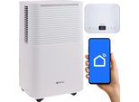 Ruhhy Dryzix Deumidificatore 12 L/24 H Con Wlan E Igrostato, Timer 0-24 H, 38 Db Silenzioso, Serbatoio Da 2 L E Scarico Permanente, Autosbrinamento Circa 30 M² 26498