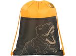 Borsa Per Scarpe Dino T-Rex St.Right Majewski
