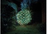 Smart Netlight Led - 1,2 X 1,2 M - 60 Lampade Bianche - Filo Verde - Modulatore - Batterie Non Fornite