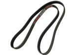 MASTER-SPORT 6PK1502-PCS-MS Cinghia A V, Cinghia Piatta Per Ford Focus Iii