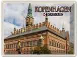 Vianmo Insegna Di Latta 30X40 Cm Kopenhagen DäNemark Rathaus
