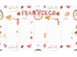 Piano Didattico Magnetico Per Bambini Fox E Gli Amici 45X26Cm