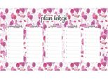 Piano Didattico Magnetico Pulcino Rosa 45X26Cm