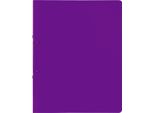 10XBRUNNEN 106551660 Ringba4 16Mm 2R Purp