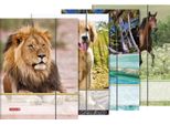 10XBRUNNEN 1047084 Sammelmappe A4 Tiere