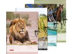 10XBRUNNEN 1047103 Sammelmappe A3 Tiere