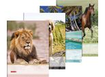 10XBRUNNEN 1047093 Sammelmappe A3 Tiere