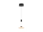 Paul Neuhaus Pendelleuchte "Lautada", Schwarz, 1, Ø 23Cm, 1 Stk., Leuchten, Led, Dimmbar, Simply Dim, Memory, Nach Trennung Vom Netz, Pendelleuchte