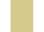 10X Heyda 204716994 Fotokarton, B/H: 70 Cm × 100 Cm, 300 G/M², Goldfarben Matt