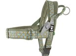 Pettorina Norvegese Hurtta Razzle-Dazzle, Colore:Verde, Taglia:35-45Cm
