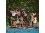 Ragazze Lambrini - Chi Ha Lasciato Uscire I Cani (Lp)