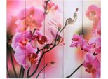 Vidaxl Divisorio Per Ambienti Pieghevole 200 X 170 Cm Fiore