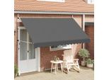 Vidaxl Tenda Da Sole Retrattile A Comando Manuale 350 Cm Antracite