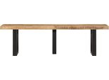 Vidaxl Panca 160 Cm Legno Di Mango Grezzo E Acciaio