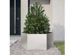 Vidaxl Fioriera Esagonale 104X90X45 In Acciaio Inox