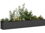 Vidaxl Fioriera Nera 280X40X40 Cm Acciaio Laminato A Freddo